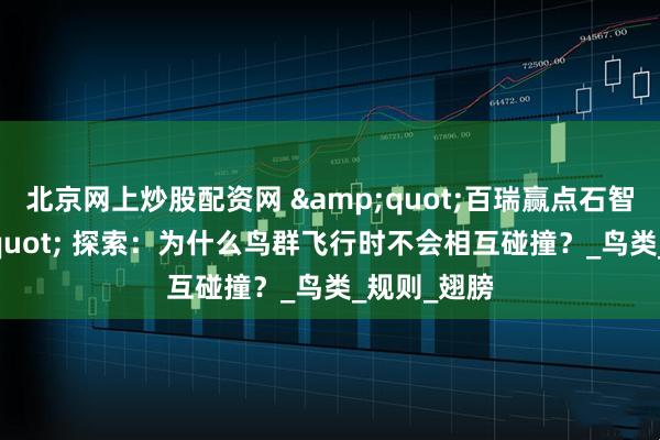北京网上炒股配资网 &quot;百瑞赢点石智投&quot; 探索：为什么鸟群飞行时不会相互碰撞？_鸟类_规则_翅膀