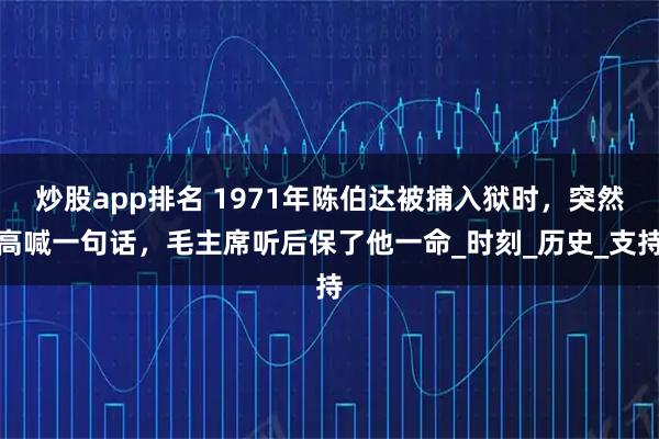 炒股app排名 1971年陈伯达被捕入狱时，突然高喊一句话，毛主席听后保了他一命_时刻_历史_支持